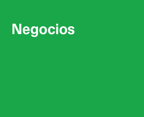 Negocios e Industrias Creativas